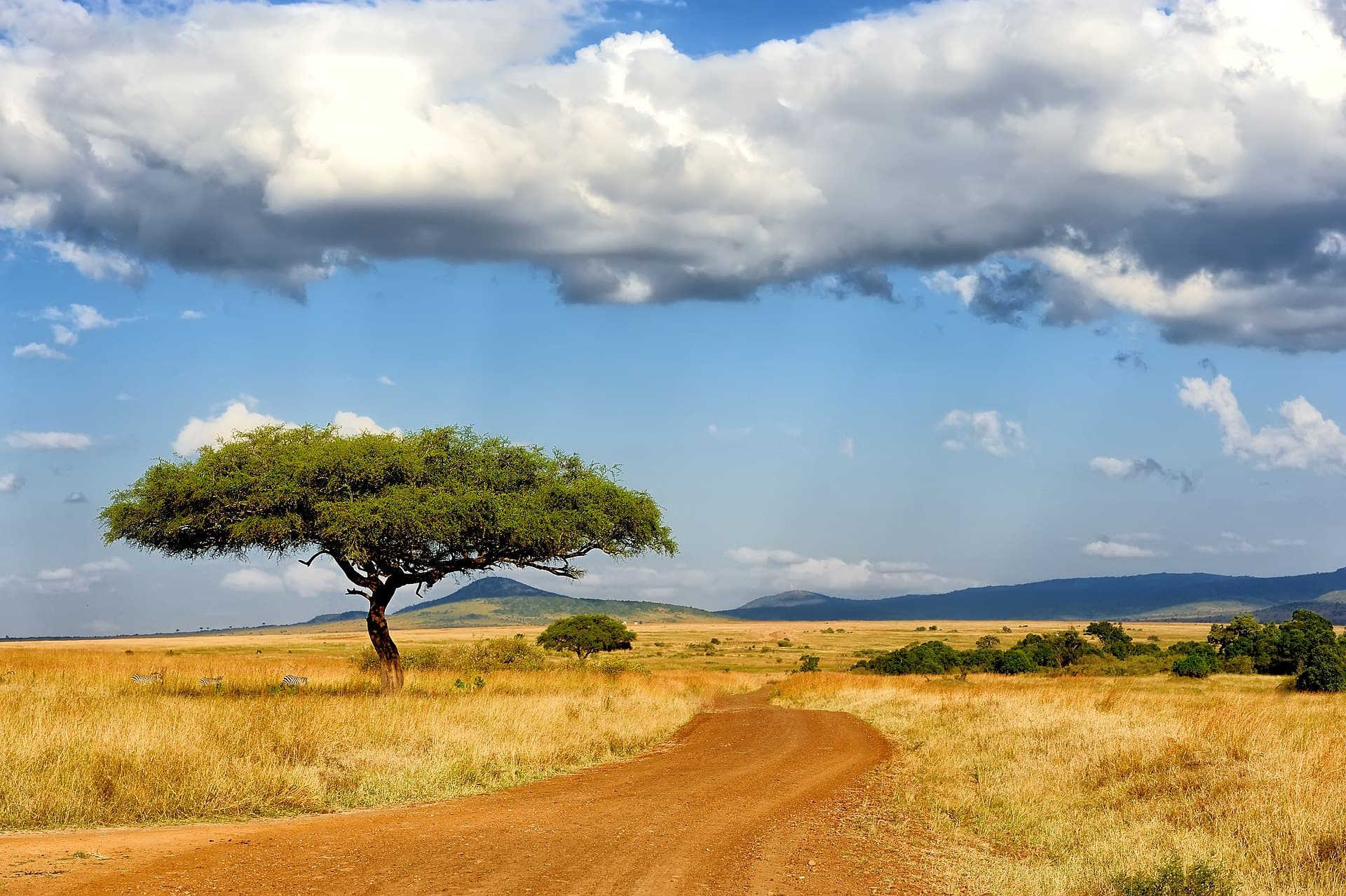 Visa-Free Countries for Ugandan Passport Holders