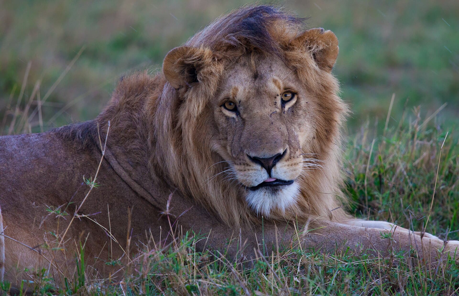 What to Pack for Your First Safari