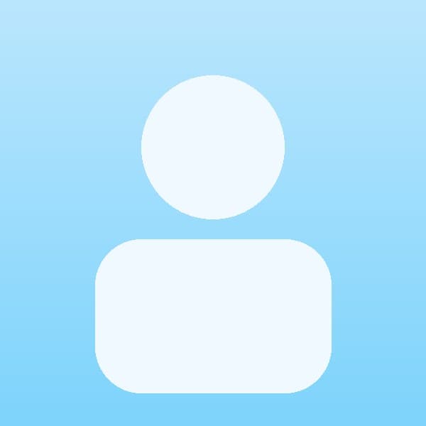 Travel Consultant